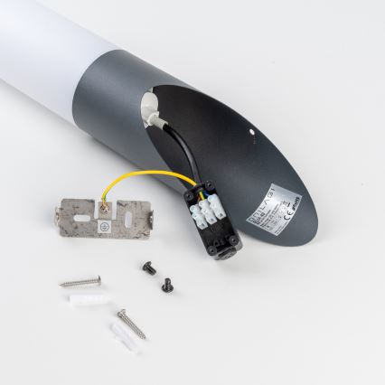 BRILAGI - Applique murale d'extérieur LED dimmable ELIA 1xE27/6W/230V 2700-6500K IP44 Wi-Fi anthracite