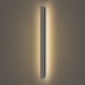 Brilagi - Applique murale d'extérieur LED LINEAR/22W/230V 3000K IP65 100 cm anthracite IRC 90