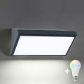 Brilagi - Applique murale d'extérieur LED RGBW à intensité variable TRIANGLE 1xE27/9W/230V 2700-6500K IP65 anthracite