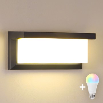 Brilagi - Applique murale d'extérieur LED RGBW dimmable BRICKY 1xE27/9W/230V 2700-6500K anthracite IP54