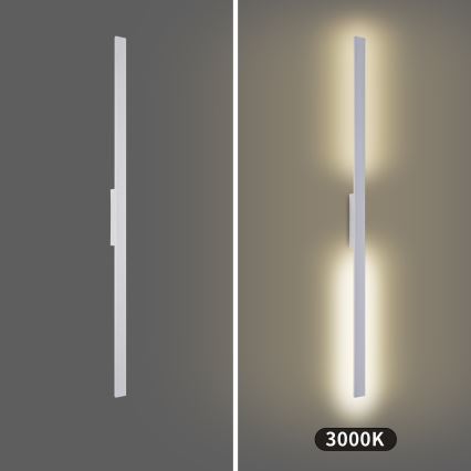 Brilagi - Applique murale extérieure LED LUNA LED/30W/230V 3000K IP65 150 cm blanche IRC 90