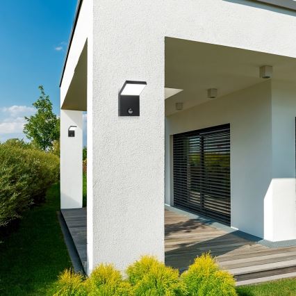 Brilagi - Applique murale d'extérieur LED avec détecteur RIANO LED/8W/230V anthracite IP65