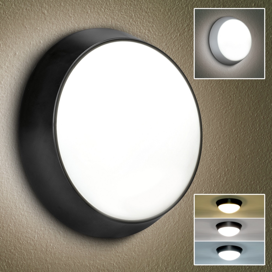 Brilagi - Applique murale extérieure 2en1 BULKHEAD LED/20W/230V 3000/4000/6000K IP65