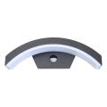 Brilagi - Applique murale extérieure avec détecteur ARCELO LED/8W/230V IP54