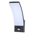 Brilagi - Applique murale extérieure avec détecteur ARCELO LED/9W/230V IP44