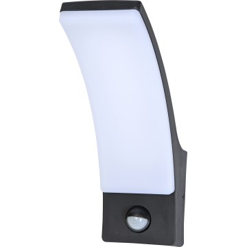 Brilagi - Applique murale extérieure avec détecteur ARCELO LED/9W/230V IP44