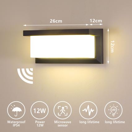 Brilagi - Applique murale extérieure avec détecteur BRICKY LED/12W/230V anthracite IP54