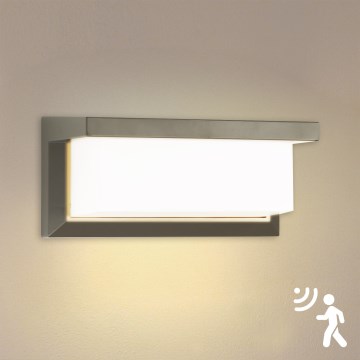 Brilagi - Applique murale extérieure avec détecteur BRICKY LED/12W/230V gris IP54