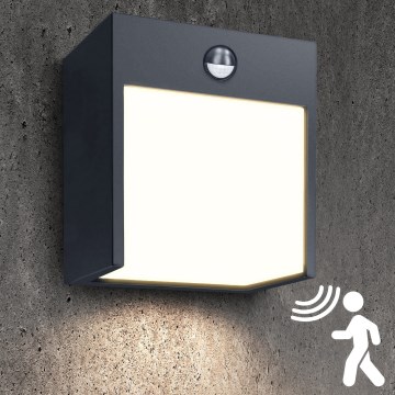 Brilagi- Applique murale extérieure avec détecteur TERNI LED/12W/230V anthracite IP44