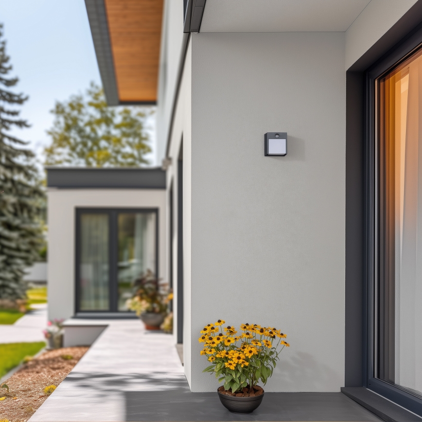 Brilagi- Applique murale extérieure avec détecteur TERNI LED/12W/230V anthracite IP44