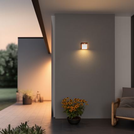 Brilagi- Applique murale extérieure avec détecteur TERNI LED/12W/230V anthracite IP44
