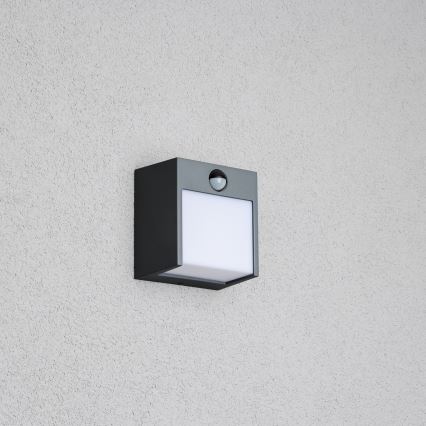Brilagi- Applique murale extérieure avec détecteur TERNI LED/12W/230V anthracite IP44