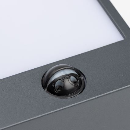 Brilagi- Applique murale extérieure avec détecteur TERNI LED/12W/230V anthracite IP44