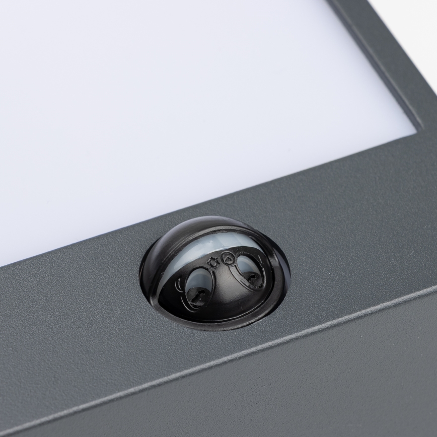 Brilagi- Applique murale extérieure avec détecteur TERNI LED/12W/230V anthracite IP44