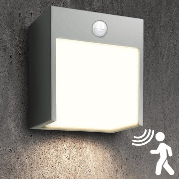 Brilagi - Applique murale extérieure avec détecteur TERNI LED/12W/230V gris IP44