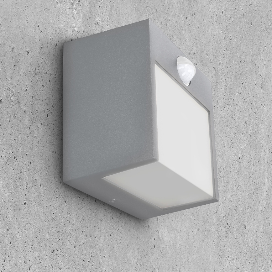 Brilagi - Applique murale extérieure avec détecteur TERNI LED/12W/230V gris IP44