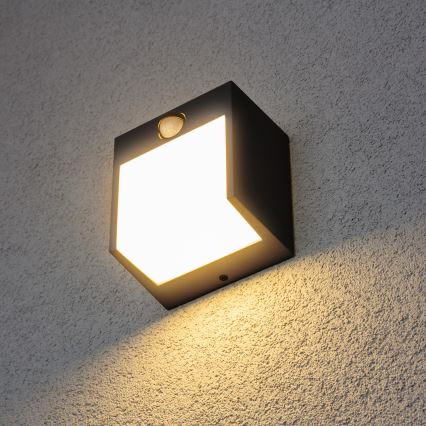 Brilagi-Applique murale extérieure avec détecteur TERNI LED/12W/230V noir IP44