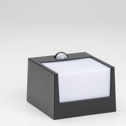 Brilagi-Applique murale extérieure avec détecteur TERNI LED/12W/230V noir IP44
