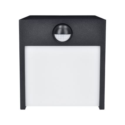 Brilagi-Applique murale extérieure avec détecteur TERNI LED/12W/230V noir IP44