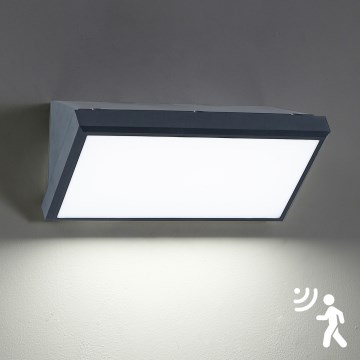 Brilagi - Applique murale extérieure avec détecteur TRIANGLE LED/20W/230V anthracite IP65