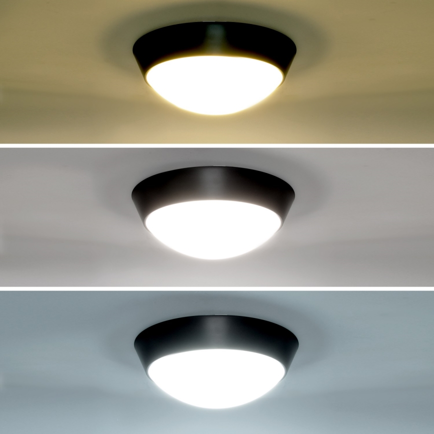 Brilagi - Applique murale extérieure 2en1 BULKHEAD LED/20W/230V 3000/4000/6000K IP65