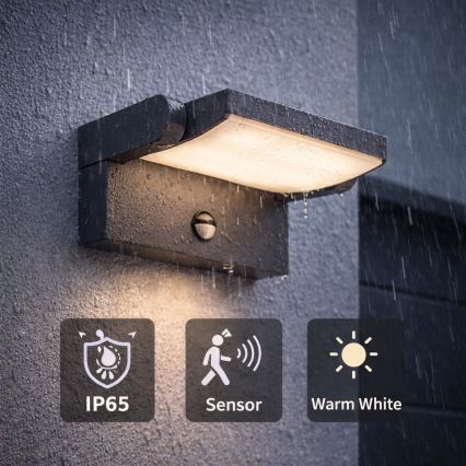BRILAGI - Applique murale LED d'extérieur avec détecteur de mouvement et capteur crépusculaire ANKLE LED/12W/230V IP65 noire