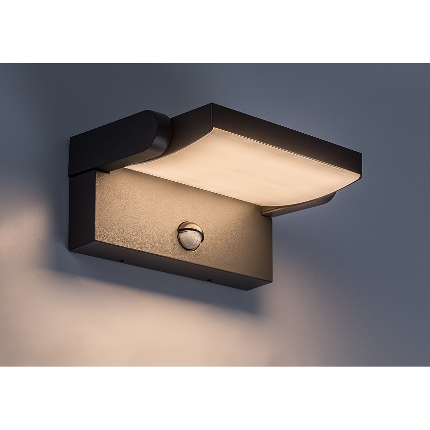 BRILAGI - Applique murale LED d'extérieur avec détecteur de mouvement et capteur crépusculaire ANKLE LED/12W/230V IP65 noire