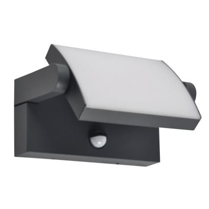 BRILAGI - Applique murale LED d'extérieur avec détecteur de mouvement et capteur crépusculaire ANKLE LED/12W/230V IP65 noire