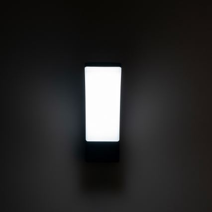 BRILAGI - Applique murale extérieure LED ARCELO LED/12W/230V IP65 noire