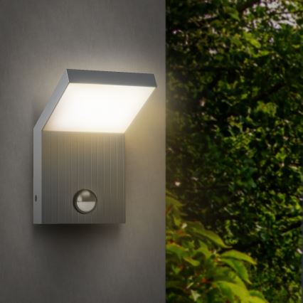 Brilagi - Applique murale d'extérieur LED avec capteur RIANO LED/8W/230V argentée IP65