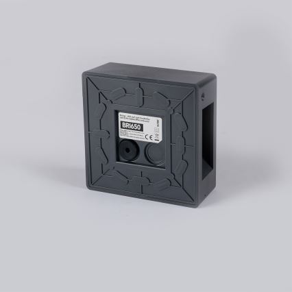 Brilagi - Applique murale extérieure LED DOUBLERAY 6W/230V, anthracite, IP54