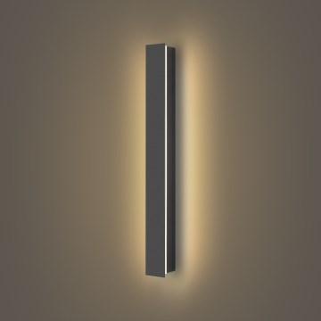 Brilagi - Applique murale extérieure LED LINEAR/12W/230V 3000K IP65 50 cm anthracite