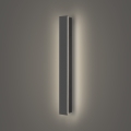 Brilagi - Applique murale extérieure LED LINEAR 12W/230V 4000K IP65 50 cm anthracite