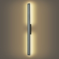 Brilagi - Applique murale extérieure LED LINEO 24W/230V 3000K IP65 100 cm anthracite IRC 90