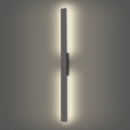 Brilagi - Applique murale extérieure LED LUNA, 24 W, 230 V, 4000 K, IP65, 100 cm, anthracite