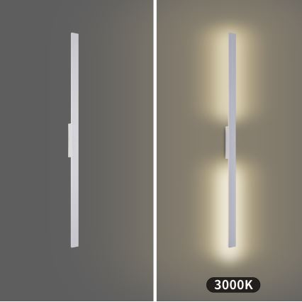 Brilagi - Applique murale extérieure LED LUNA 24W/230V 3000K IP65 100 cm blanche IRC 90