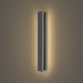 Brilagi - Applique murale extérieure LINEAR LED/12W/230V 3000K IP65 50 cm anthracite IRC 90
