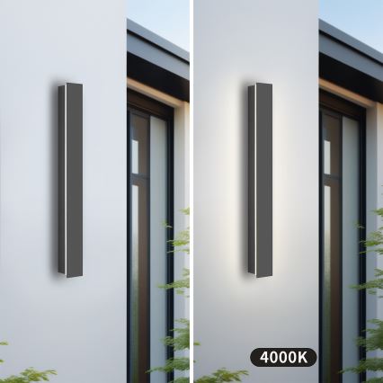 Brilagi - Applique murale d'extérieur LINEAR LED/12W/230V 4000K IP65 50 cm anthracite CRI 90