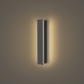 Brilagi - Applique murale extérieure LINEAR LED 8W 230V 3000K IP65 30 cm anthracite