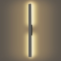 Brilagi - Applique murale extérieure LUNA LED 24W/230V 3000K IP65 100 cm anthracite