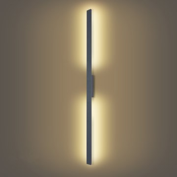 Brilagi - Applique murale extérieure LUNA LED 30W/230V 3000K IP65 150 cm anthracite IRC 90