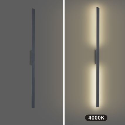 Brilagi - Applique murale d'extérieur LUNA LED/30W/230V 4000K IP65 150 cm anthracite CRI 90