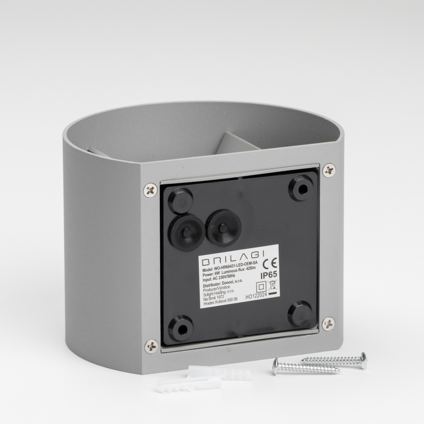 Brilagi - Applique murale extérieure RONDO LED/6W/230V gris IP54