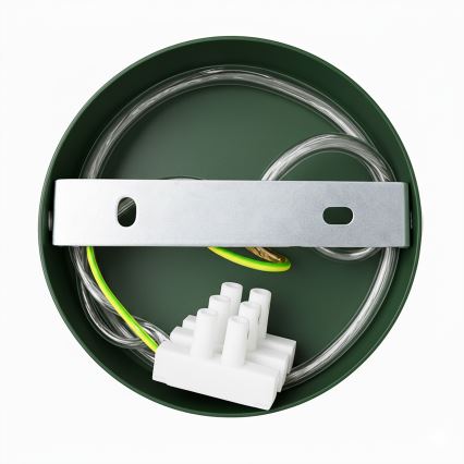 Brilagi - Applique murale FLAMENGO 1xE27/60W/230V vert