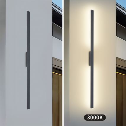 Brilagi - Applique murale extérieure LUNA LED 30W/230V 3000K IP65 150 cm anthracite IRC 90