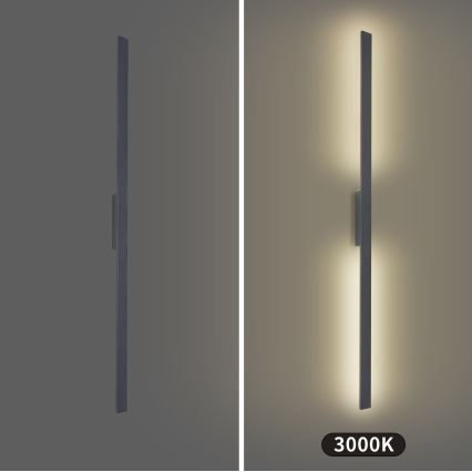 Brilagi - Applique murale extérieure LUNA LED 30W/230V 3000K IP65 150 cm anthracite IRC 90