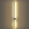 Brilagi - Applique murale LED extérieure AURA LED/20W/230V 3000K IP54 97 cm anthracite
