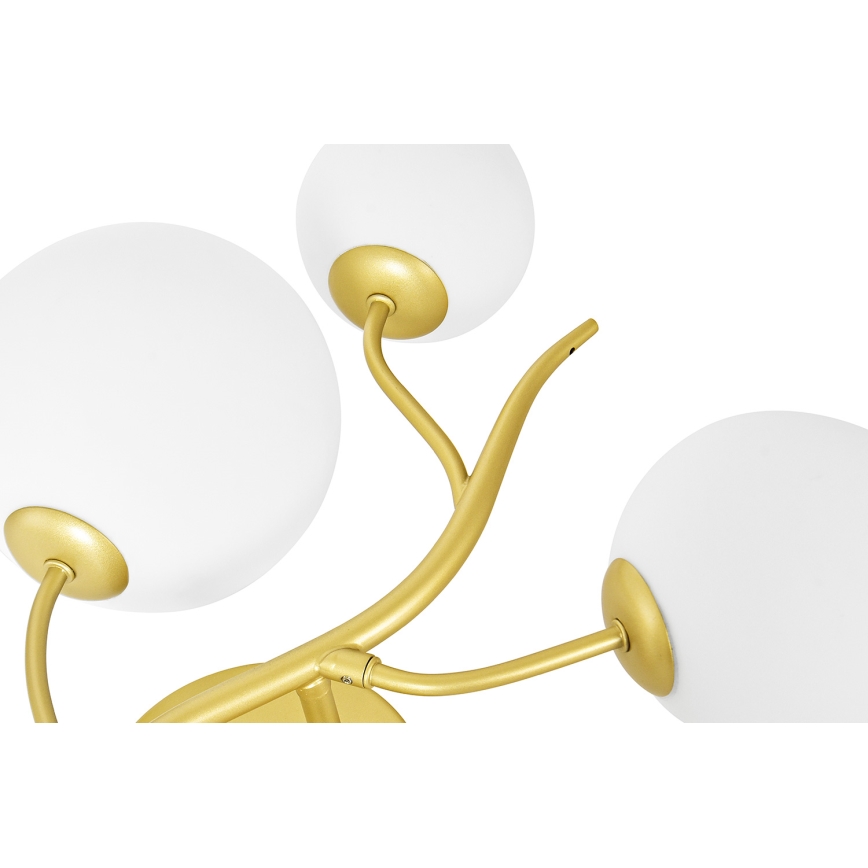 Brilagi - Applique murale LED MISTEL 3xG9/3W/230V doré/blanc