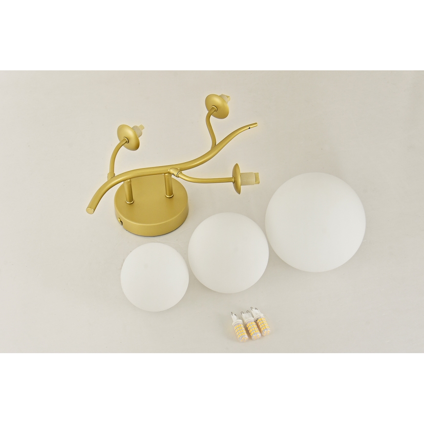 Brilagi - Applique murale LED MISTEL 3xG9/3W/230V doré/blanc