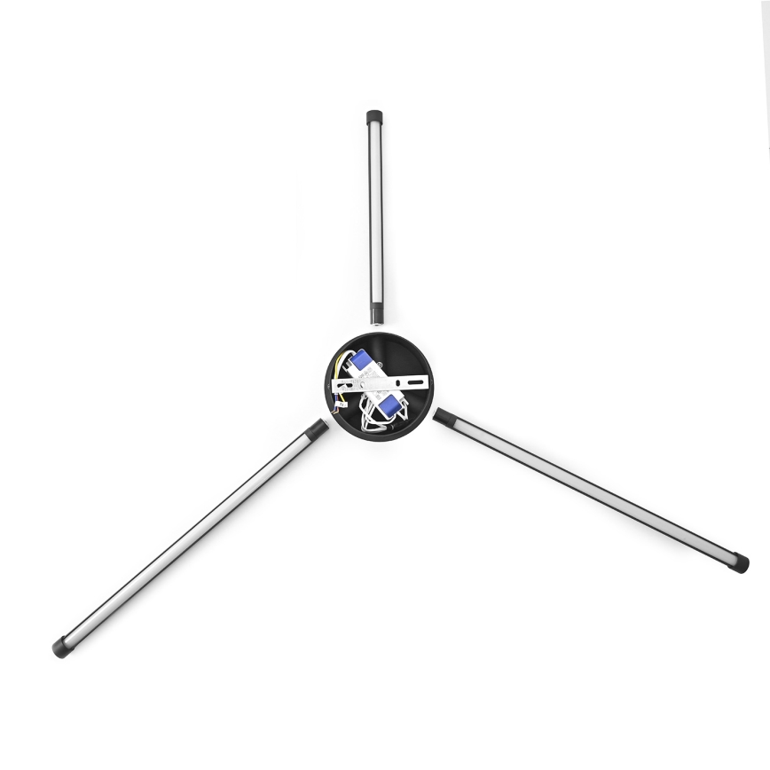 Brilagi - Applique murale LUGO TRE LED/14W/230V noir